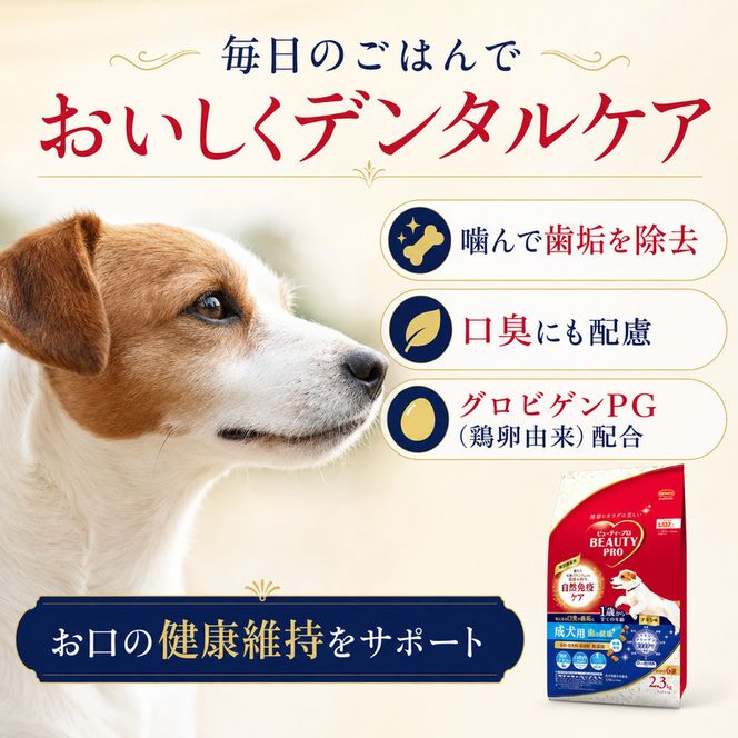 ビューティープロ ドッグ 歯の健康 1歳から 2.3kg ｘ4(ケース単位) ドッグフード