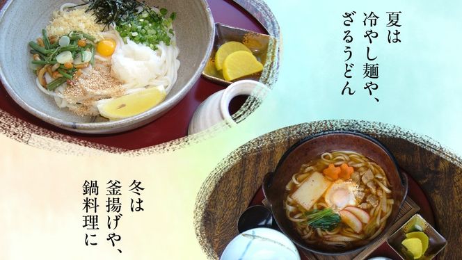 手延べうどん 半生手なえ 2袋 ( 4人前 ) スープ付き 麺 めん 半生 [BE008ci]
