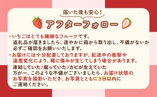 【先行予約】出会いの森いちご園 スカイベリー （290g×2パック） | いちご イチゴ 苺 栃木県 果物 くだもの フルーツ スカイベリー 新鮮 贈答 ギフト デザート スイーツ ※離島への配送不可 ※2026年12月上旬頃から2027年3月下旬頃に順次発送予定