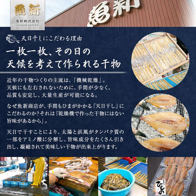 天日干し 干物 5種 詰合わせ