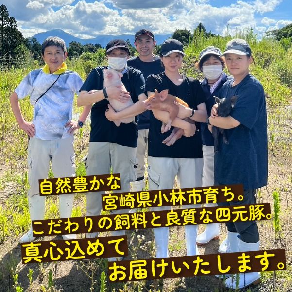 【地元ブランド豚】めぶ～豚3種セット 小間切れ・ミンチ・角切り 計4.4kg（豚肉 豚 肉 豚小間 豚こま 切り落とし ひき肉 挽肉 ステーキ）