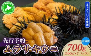 ＜先行予約＞ 北海道産 ムラサキウニ（正規品）700g【ogm-036】生うに 塩水うに ミョウバン不使用 海鮮 国産 北海道 伊達 ふるさと納税