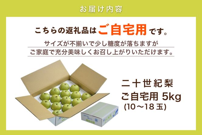 2026年産 先行予約【20世紀梨 ご自宅用 5kg サイズ L～5L混合（10～18玉）】8月下旬～9月中旬にかけて発送予定 ご自宅用  二十世紀梨 シャキシャキ 甘味 瑞々しさ 香住梨 フルーツ フルーツ先行予約 果物 なし ナシ 和梨 青梨 大人気 おすすめ ランキング 兵庫県 香美町 香住 JAたじま 12000円 12-20