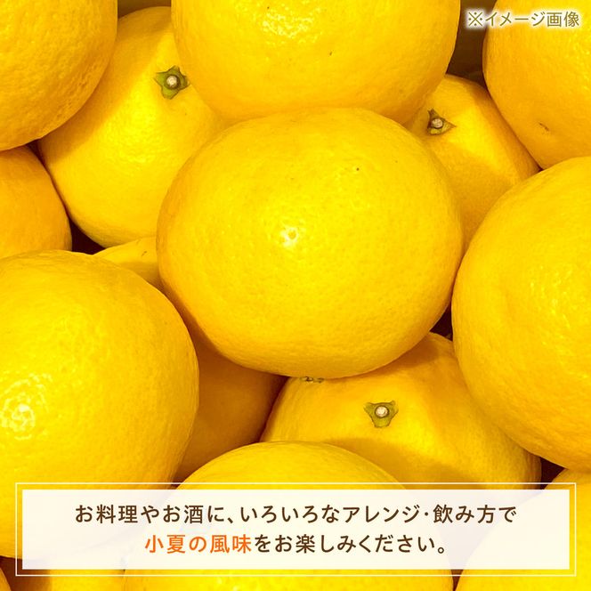 高知県 土佐市産 KONATSU JUICE／Drink　2種セット 小夏ジュース ドリンク 20%果汁 100％果汁 ストレート ジュース 飲み物 詰め合わせ セット フルーツジュース 高知県 土佐市【川野果樹園】 [BQCB004]