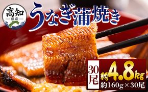 うなぎ 高知県産蒲焼きうなぎ １６０g ３０尾 計４８００ｇ fb-0186