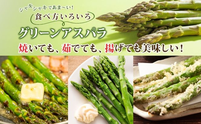 北海道 洞爺湖町産 グリーンアスパラ 約1kg L～2L混合 5月下旬頃お届け 先行受付 路地 アスパラ アスパラガス 野菜 農作物 サラダ 天ぷら 新鮮 国産 人気 お取寄せ 産地直送 冷蔵 洞爺湖