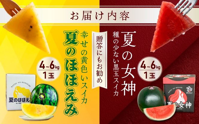 《2026年分受付中》スイカ2種(夏のほほえみ・夏の女神)食べ比べセット【01148】