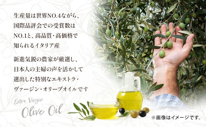 【受賞農家が選出】 高級イタリア産 エキストラ・ヴァージン・オリーブオイル 450g×3個【2026年6月より順次発送】