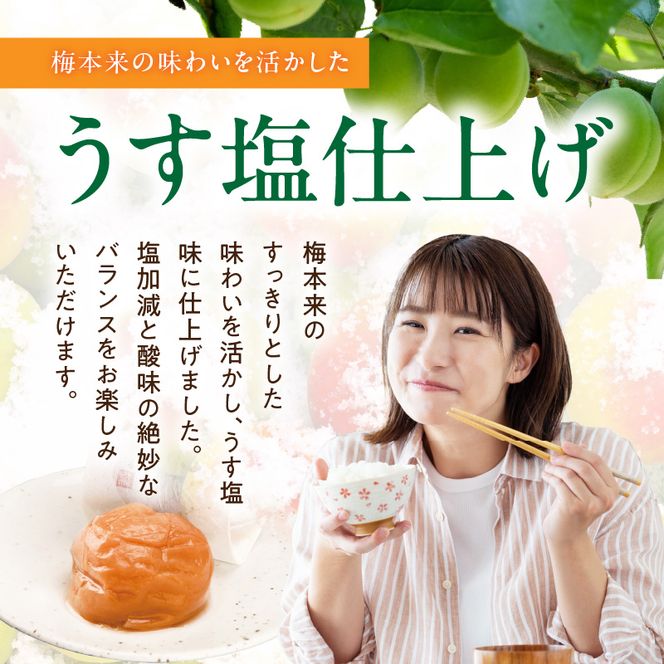 SF1028_紀州南高梅「稔」20粒入