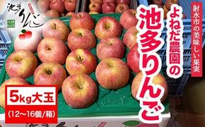【射水のおいしい果実】【林檎】 よねだ農園の池多りんご サンふじ 5kg大玉（12～16個／箱） ※2026年11月～発送