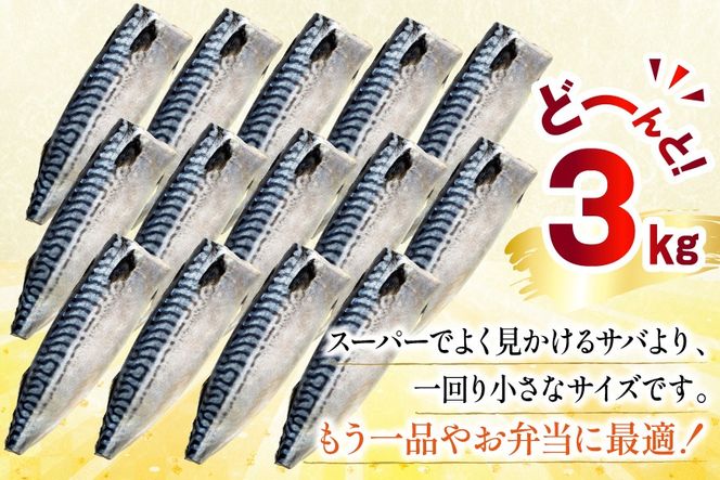 訳あり 減塩 無添加 トロ塩サバ フィレ Sサイズ 総重量 3kg [足利本店 宮城県 気仙沼市 20565959] 魚介類 魚 大容量 サバ さば 鯖 トロサバ トロさば とろサバ 塩分控えめ 切り身 冷凍 訳アリ