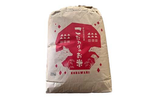 《数量限定》令和7年度産 富富富 玄米 20kg 米 お米 新米 ごはん おにぎり 富山 立山 北アルプス 健康志向 JGAP認定 F6T-848