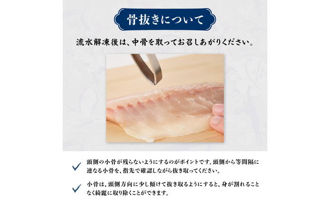 【E04018】 関冷刺　関あじ（大）