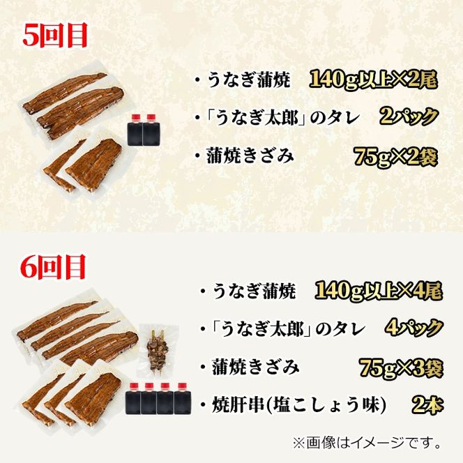 【3003712b】＜定期便・全6回(連続)＞鹿児島県産うなぎの贅沢セット(蒲焼き・白焼き・きざみ鰻など) うなぎ 高級 ウナギ 鰻 国産 たれ 鹿児島 蒲焼き 白焼き きざみ鰻 焼肝串 【うなぎ太郎】