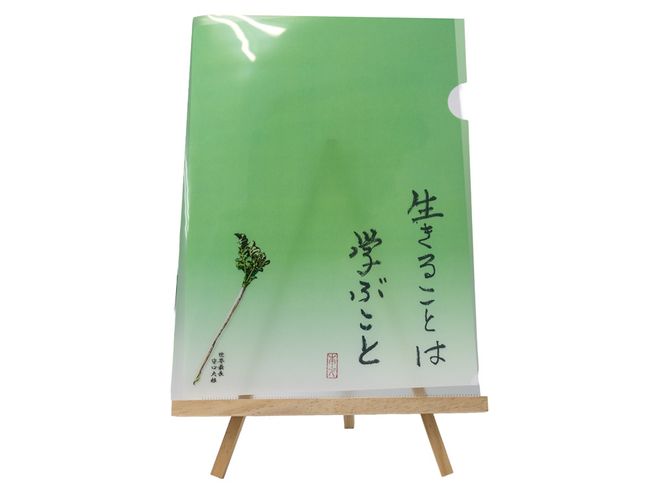 y{szI[PANAt@CA4y邱Ƃ͊wԂƁz[2448]