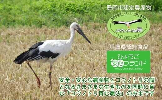新米 六方たんぼ コシヒカリ 減農薬（白米：3kg）令和8年産 / 米 お米 精米 コシヒカリ コウノトリ育む農法