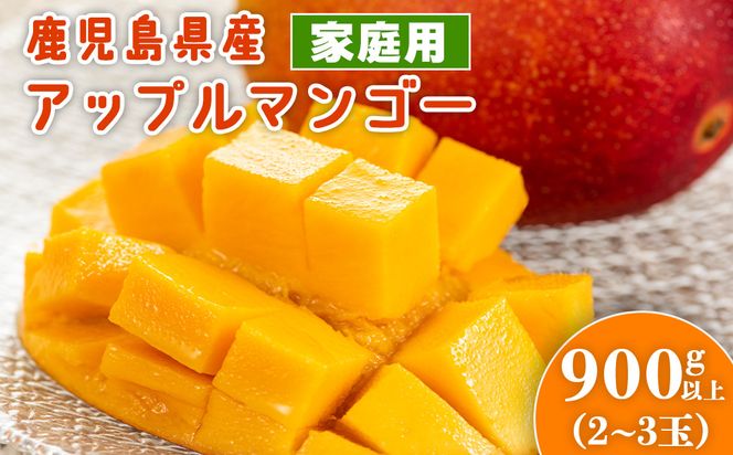老舗青果店のご家庭用　アップルマンゴー　2～3玉 464686_DR004