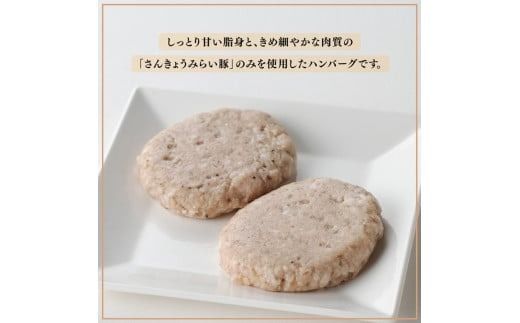 ハンバーグ 【発送月が選べる！】さんきょうみらい豚 ”ふんわりやわらか” ハンバーグセット(90g×11P、ソース200g付) 【 豚肉 国産 肉 豚 おかず 惣菜 ハンバーグ 】ⅡⅥ [D00101]