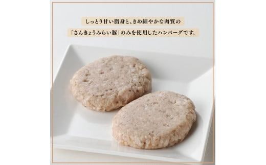 【発送月が選べる！】さんきょうみらい豚 ”ふんわりやわらか” ハンバーグセット(90g×11P、ソース200g付) 【 豚肉 国産 肉 豚 おかず 惣菜 ハンバーグ 】 [D00101]