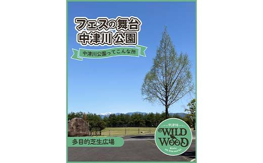【数量限定】野外音楽フェス 「中津川 WILD WOOD 2026」 2日通し券（大人1名分） フェス ロック ミュージック 観光 旅行 イベント ロックフェス ライブ 音楽 祭 キャンプ F4N-2333