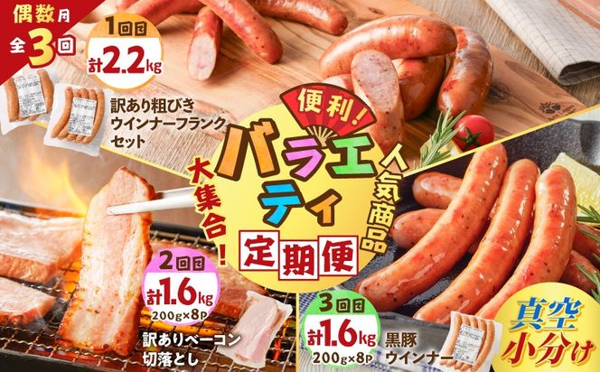 【全3回偶数月】バラエティ定期便　K161-T04