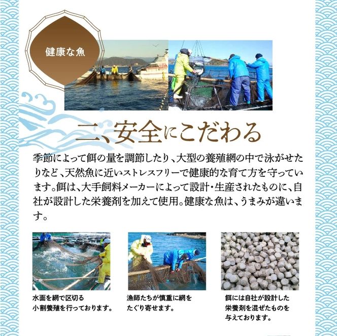 まるごと一本！大和ブリ 原魚約5kg N072-YC816