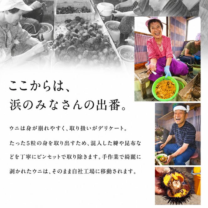 北海道礼文島産 旬凍ウニ食べ比べセット（80g×各2個） 魚貝類 海の幸 海鮮 北海道産 つまみ うに丼 手巻き寿司 濃厚 甘み とろける エゾバフンウニ 旨み キタムラサキウニ 
