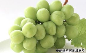 ぶどう 早期受付 シャインマスカット 2房（1房650g以上） ブドウ 葡萄 岡山県産 国産 フルーツ 果物 ギフト 桃茂実苑 果物類 