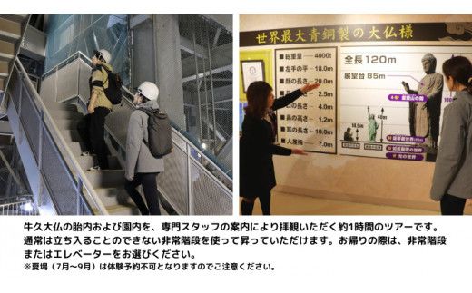 《 案内付き 》 非常階段で登る 牛久大仏 胎内 拝観 ツアー ※ 平日限定 ※ （ 5名様まで ） 貸切 体験 参加券 体験チケット 観光 [DR002us]