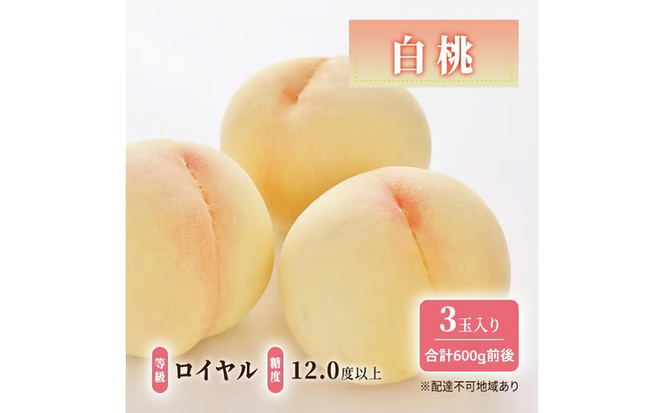先行予約 晴れの国 岡山のフルーツ 定期便 2回コース 1回目ロイヤル白桃3玉 合計約600g／2回目冬桃がたり3個 合計約600g[№5735-3574]