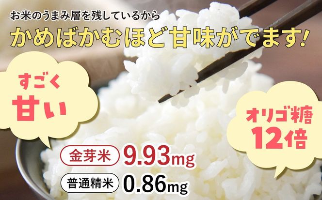 無洗米 令和7年産 米 金芽米 ひとめぼれ 宮城県産 4kg(2kg×2) [ 宮城県 加美町 km-my-knm04-r7 ] お米 小分け こめ コメ 精米 白米 玄米 きんめまい おすすめ ナカリ 時短 便利 タカラ米穀 パワーライス カメイ 美味しい こだわり