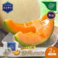 【2026年8月～発送】JAふらの 赤肉メロン 2玉 計3.2kg 富良野市 メロン フルーツ 果物