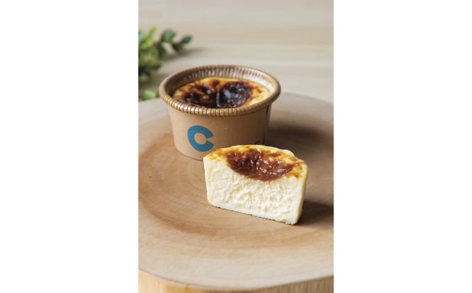 y_ސ쌧cszIȂ߂炩ZoXN`[YP[L `[YeXEJv` yv[6Zbgz 142069_JF002