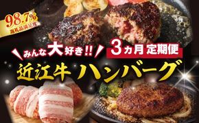 【期間限定】みんな大好き　ハンバーグ定期便【ZZ63W】（滋賀県　近江八幡市）