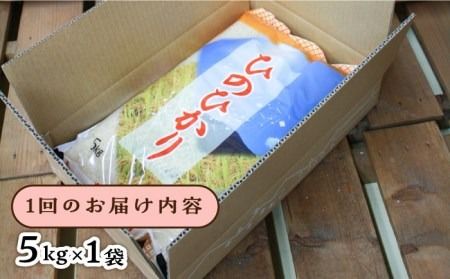 【全6回定期便】糸島産 ひのひかり 5kg × 6回 糸島市 / 三島商店 [AIM009] 米 白米