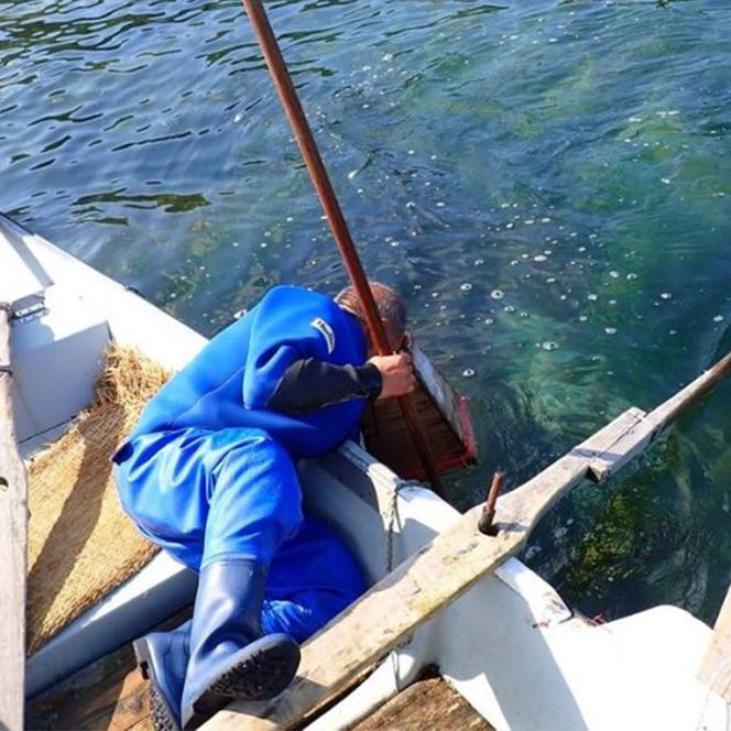 北海道 礼文島産 熟成ねかせ昆布粉 45g×3個［れぶんちゅら工房］【 天然だし 出汁 万能調味料 調理 昆布 昆布粉 粉 粉末 海鮮 減塩 】