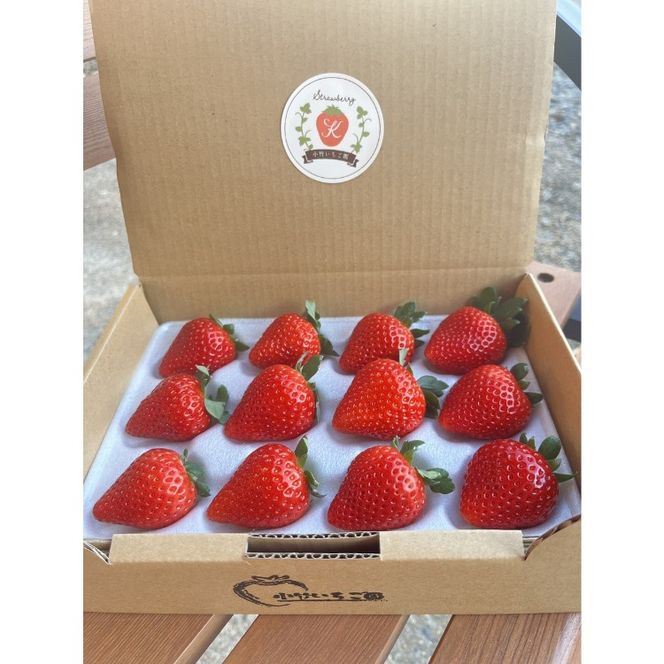 【定期便】栃木のいちご3銘柄（とちあいか　とちおとめ　スカイベリー）定期便　400g×1パック　※2026年1月上旬頃から1ヶ月毎1種類ずつ順次発送予定