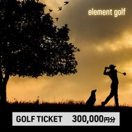 【300,000円分】 elementgolf ゴルフチケット (ゴルフクラブ作成、修理・調整、フィッティング) エレメントゴルフ × 名古屋外国語大学コラボデザインチケット ゴルフ ゴルフクラブ 愛知 日進市