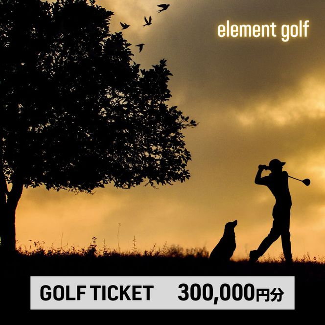 【300,000円分】 elementgolf ゴルフチケット (ゴルフクラブ作成、修理・調整、フィッティング) エレメントゴルフ × 名古屋外国語大学コラボデザインチケット ゴルフ ゴルフクラブ 愛知 日進市