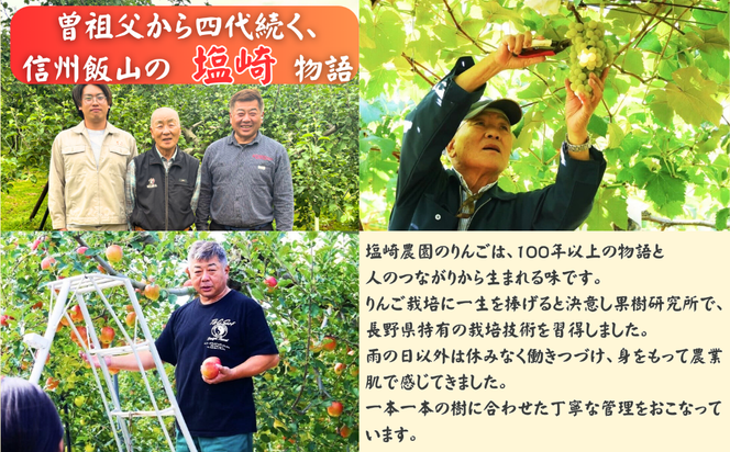 【先行予約丨2026年10月下旬より順次発送】訳あり シナノゴールド【約10kg(22〜40玉)】(At-025)
