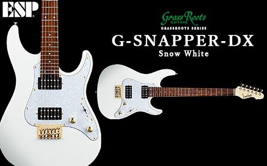 G-SNAPPER-DX Snow White FAA-010