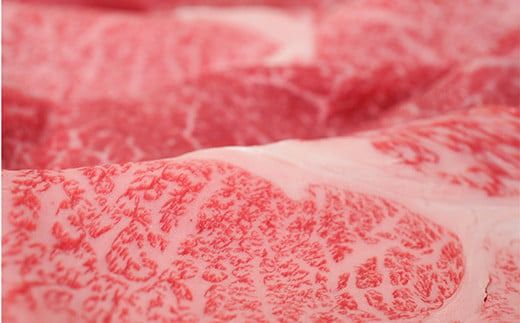 FYN9-867 月山和牛 ロースももすき焼 500g ＆ 月山山麓「月虎」カベルネ・ソーヴィニヨン（赤）720ml セット トラヤ 赤ワイン 山形県 西川町