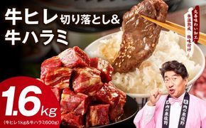 mrz0425 牛ヒレ 1kg＆牛ハラミ 600g 合計1.6kg【氷温熟成×特製ダレ 味付き 訳あり サイズ不揃い 小分け】