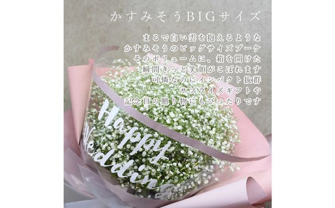 【母の日】サプライズ超BIGサイズ かすみ草ブーケ＜お届け日：2026年5/4～5/10 当店おまかせ ＞母の日カード付き【 母の日 ギフト かすみ草 花 贈り物 大阪府 門真市 】 272230_BG123