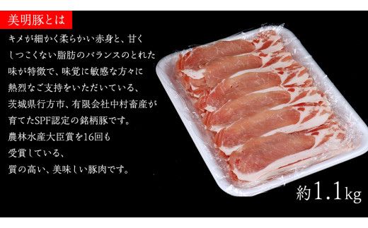 【 3ヶ月 連続 定期便 】美明豚 ロース薄切り 約1.1kg （茨城県共通返礼品：行方市） びめいとん ビメイトン ブランド豚 銘柄豚 豚 豚肉 肉 茨城県産 国産 冷凍 豚ロース 薄切り [EQ011us]