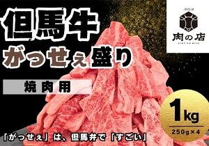【ふるさと納税】但馬牛 がっせぇ盛り（焼肉用・1kg）250g×4パック 小分け 肉 牛肉 お肉 赤身 バラ バラ肉 ばら 国産 黒毛和牛 和牛 焼肉 焼き肉 BBQ お取り寄せ 冷凍 兵庫県 新温泉町 送料無料