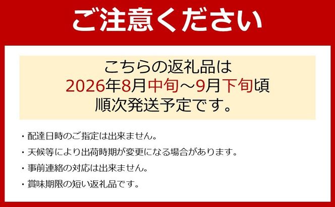 ［先行予約］朝採りシャインマスカット 約2kg ［2026年8月中旬以降順次発送］  	AZ06