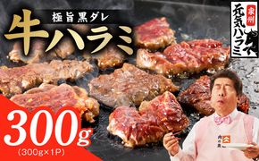 005A810 【新登場】極旨黒ダレ 牛ハラミ 300g【お試し 牛肉 はらみ 小分け 焼肉 お弁当 BBQ 訳あり ワケアリ わけあり サイズ不揃い 規格外 TVで話題】
