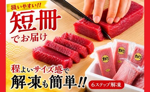 【2-134】国産本まぐろ中トロ赤身冷凍短冊セット　600ｇ以上