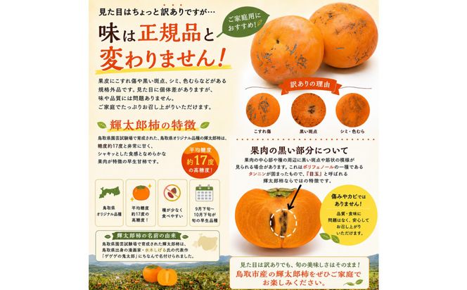 【先行予約】【2026年秋発送】鳥取市産 輝太郎柿 約3kg【訳あり・ご家庭用】鳥取県オリジナル 高糖度 甘柿 種が少ない 秋の味覚 312011_GN003